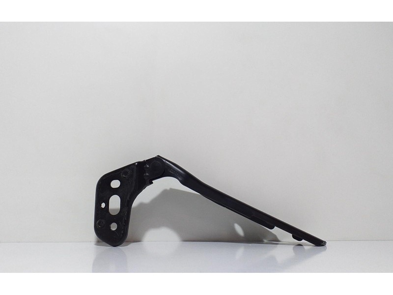 Recambio de capot para audi a6 avant (4f5) 3.0 tdi quattro referencia OEM IAM 4F0823302 61632 