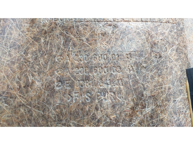 Recambio de molduras traseras para mercedes-benz clase sl (w230) roadster 500 (230.475) referencia OEM IAM A2306900141 50963 