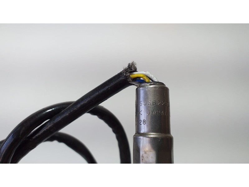 Recambio de sonda lambda para opel corsa d ´´111 years´´ referencia OEM IAM 55562290 72203 R Recambio de sonda lambda para opel corsa d ´´111 years´´ referencia OEM IAM 55562290 72203 R