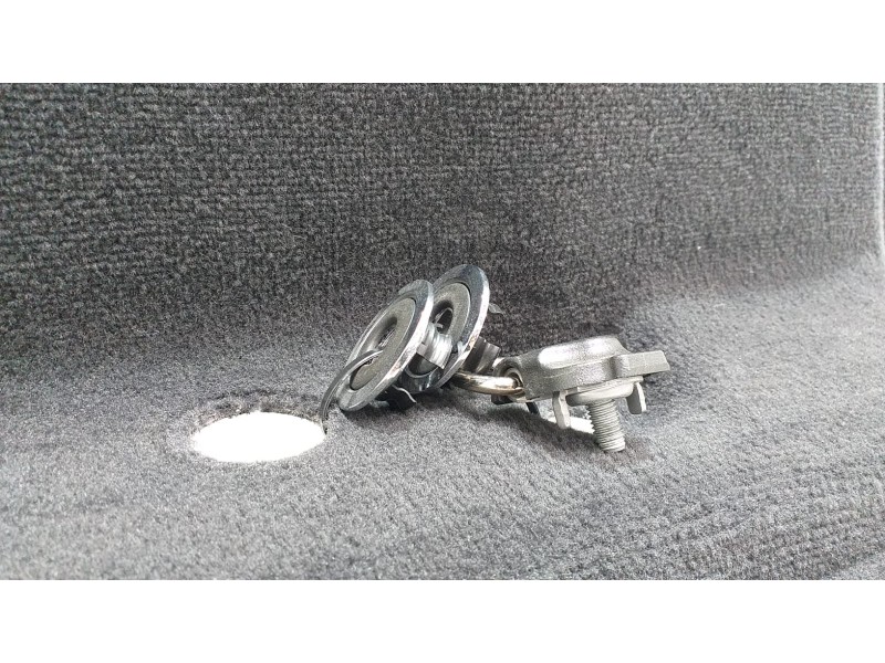 Recambio de guarnecido porton trasero para bmw serie 3 touring (f31) 318d referencia OEM IAM 7273737 51903 