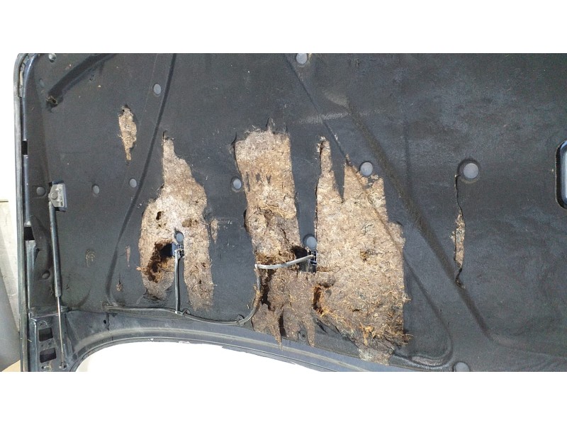 Recambio de capot para land rover range rover (lp) 4.6 referencia OEM IAM 46D 73554 