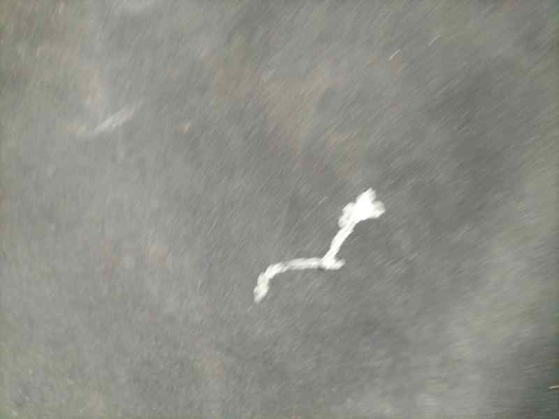 Recambio de capot para mercedes-benz clase s (w220) berlina 500 (220.075) referencia OEM IAM A2208800357 84582 