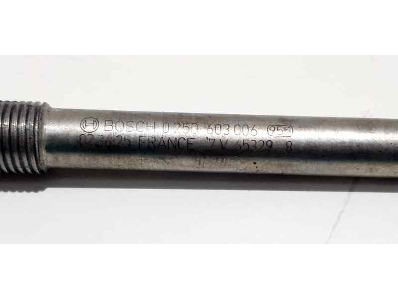 Recambio de calentadores para bmw serie 2 active tourer (f45) 218d referencia OEM IAM 0250603006 41059 