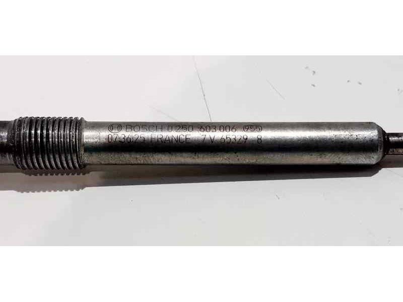 Recambio de calentadores para bmw serie 2 active tourer (f45) 218d referencia OEM IAM 0250603006 41060 