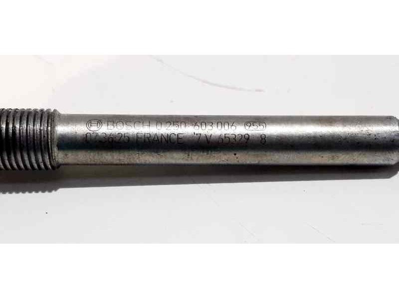 Recambio de calentadores para bmw serie 2 active tourer (f45) 218d referencia OEM IAM 0250603006 41061 