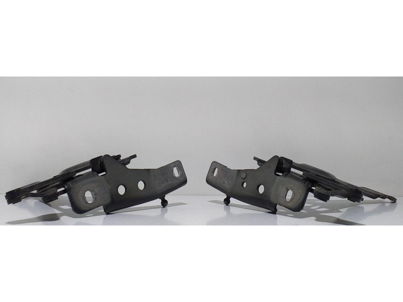 Recambio de capot para bmw x5 (e70) 3.0d referencia OEM IAM 7148348 66126 