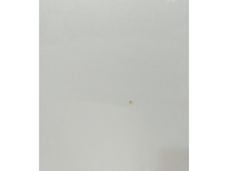 Recambio de techo electrico para mercedes-benz clase slk (w170) roadster 230 compressor (170.447) referencia OEM IAM 111973 5862