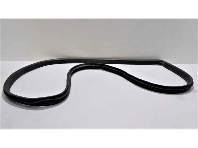 Recambio de gomas contorno puerta para ford fiesta (ccn) trend referencia OEM IAM MOTORSNJD 46369 