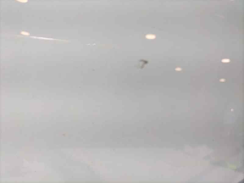 Recambio de luna trasera derecha para seat altea (5p1) arena referencia OEM IAM 5P0845026 86989 