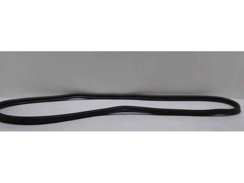 Recambio de gomas contorno puerta para ford fiesta (ccn) trend referencia OEM IAM MOTORSNJD 46370 