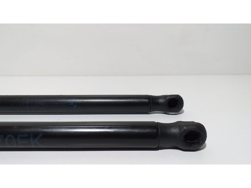 Recambio de amortiguadores capo para bmw x6 (e71) 3.5d referencia OEM IAM 51327148346 59382 
