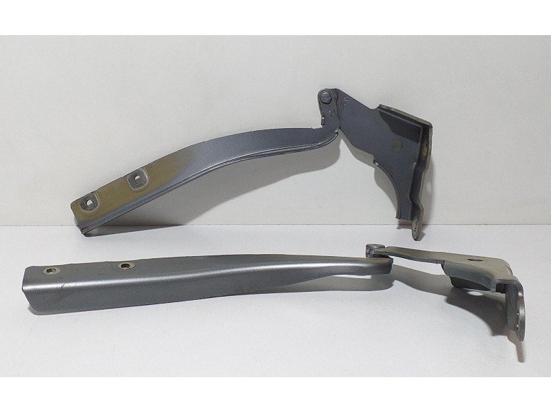 Recambio de capot para fiat grande punto (199) 1.3 16v multijet active (66kw) (01.2007) referencia OEM IAM 199A3000 66949 