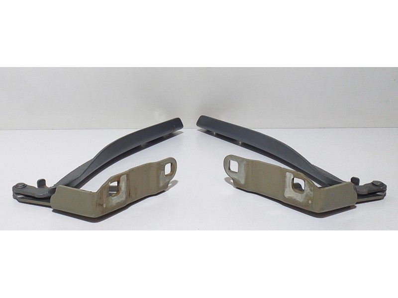 Recambio de capot para fiat grande punto (199) 1.3 16v multijet active (66kw) (01.2007) referencia OEM IAM 199A3000 66949 