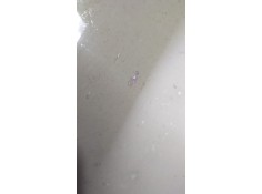 Recambio de luna delantera derecha para toyota land cruiser (j10) 4.2 24v turbodiesel cat referencia OEM IAM HDJ100 77175 R 2