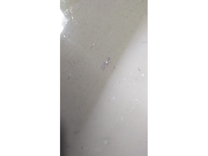 Recambio de luna delantera derecha para toyota land cruiser (j10) 4.2 24v turbodiesel cat referencia OEM IAM HDJ100 77175 R