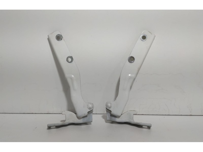 Recambio de capot para fiat doblo (119) 1.3 16v jtd cat referencia OEM IAM 1769202 77488 