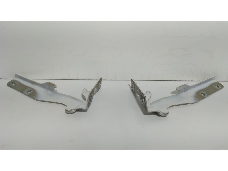 Recambio de capot para fiat doblo (119) 1.3 16v jtd cat referencia OEM IAM 1769202 77488 