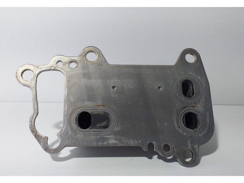 Recambio de enfriador aceite motor para bmw serie 1 berlina (e81/e87) 2.0 turbodiesel cat referencia OEM IAM 70310369 75290 R