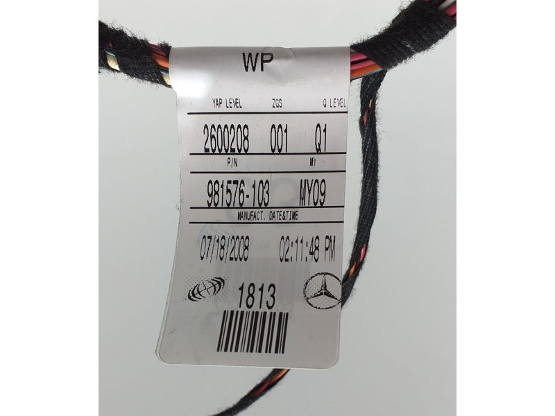 Recambio de puerta delantera izquierda para mercedes-benz clase r (w251) 500 l 4matic (251.172) referencia OEM IAM 981576103 535