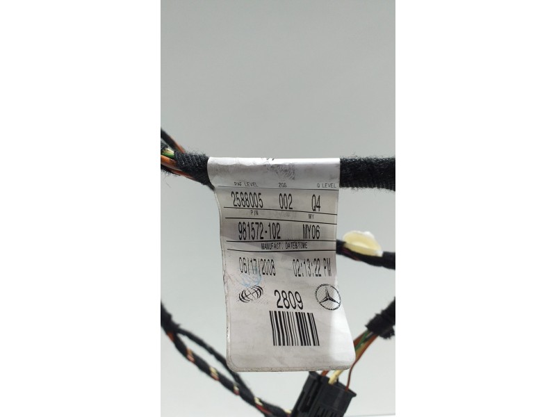 Recambio de puerta trasera izquierda para mercedes-benz clase r (w251) 500 l 4matic (251.172) referencia OEM IAM 981572102 53548