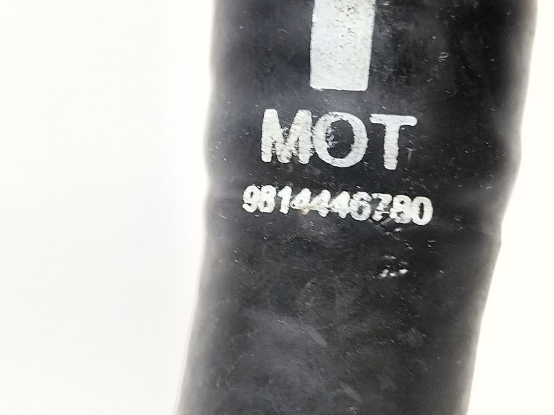 Recambio de tubo para citroën c3 / c3 origin iii (sx) 1.5 bluehdi 100 (sxyhyp, sxyhtu) referencia OEM IAM 9814446780  