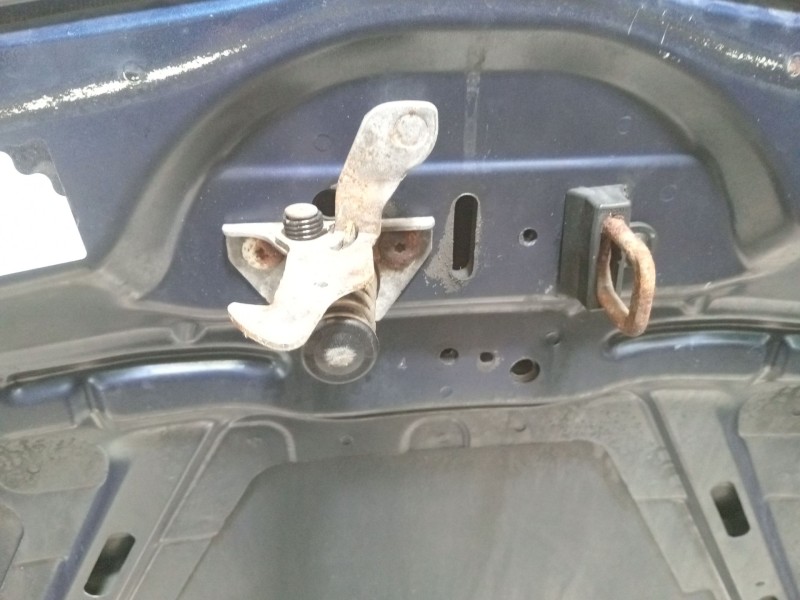 Recambio de capot para bmw serie 1 cabrio (e88) 120i referencia OEM IAM 128342  