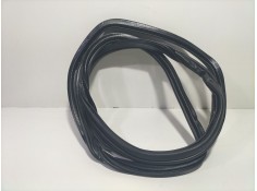 Recambio de gomas contorno puerta para audi q7 (4l) 3.0 tdi v6 advance quattro (176kw) referencia OEM IAM CJGA  