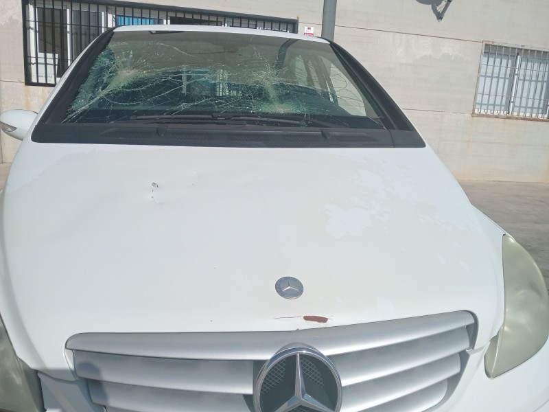 Recambio de capot para mercedes-benz clase b sports tourer (w245) b 180 cdi (245.207) referencia OEM IAM OM640.940  