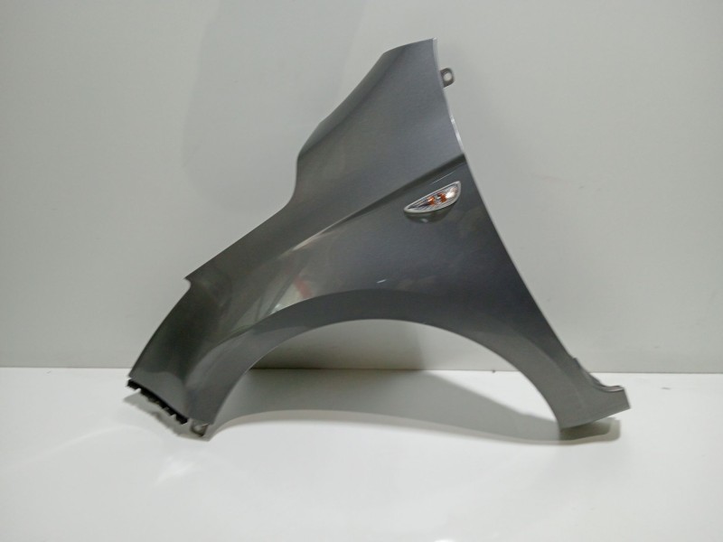 Recambio de aleta delantera izquierda para hyundai i20 i (pb, pbt) 1.2 referencia OEM IAM G4LA  