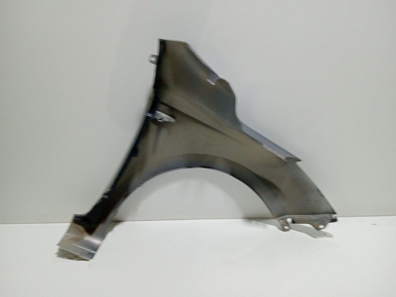 Recambio de aleta delantera izquierda para hyundai i20 i (pb, pbt) 1.2 referencia OEM IAM G4LA  