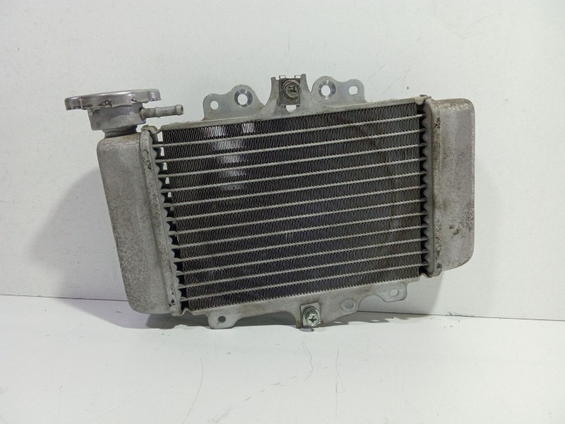 Recambio de radiador agua para honda ps ps 125i (jf17) referencia OEM IAM   