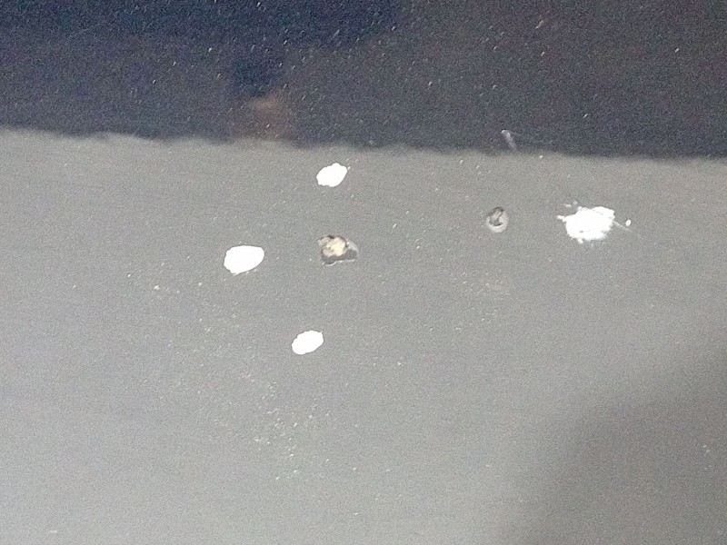 Recambio de puerta trasera derecha para bmw 7 (e65, e66, e67) 745 d referencia OEM IAM   