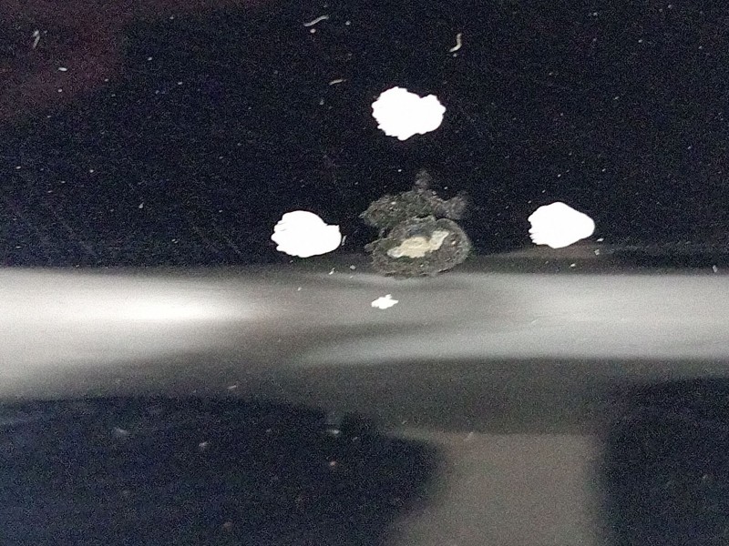 Recambio de puerta trasera derecha para bmw 7 (e65, e66, e67) 745 d referencia OEM IAM   