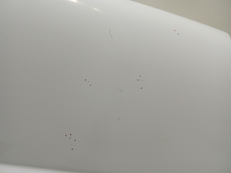 Recambio de aleta delantera derecha para nissan primastar autobús (x83) dci 100 referencia OEM IAM   