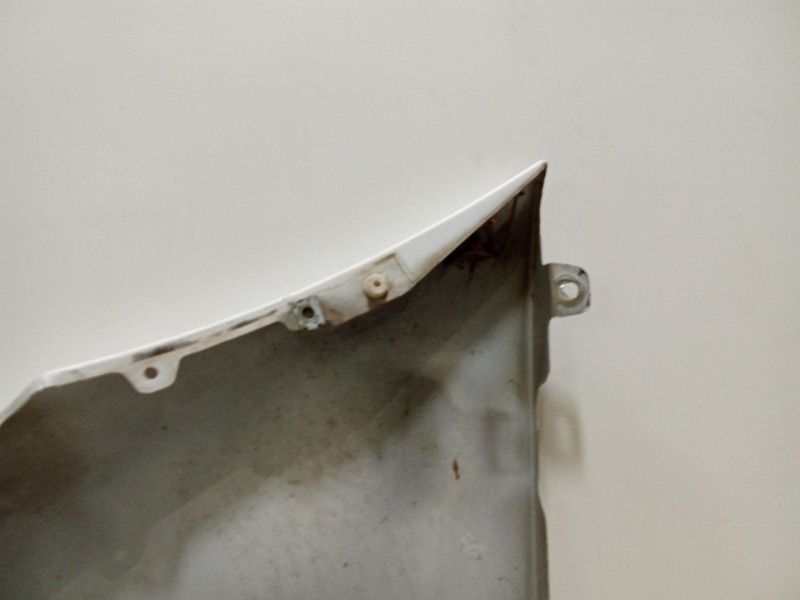 Recambio de aleta delantera derecha para nissan primastar autobús (x83) dci 100 referencia OEM IAM   