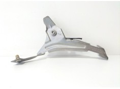 Recambio de moldura para bmw serie 5 berlina (e60) 520d referencia OEM IAM 5164716145204  