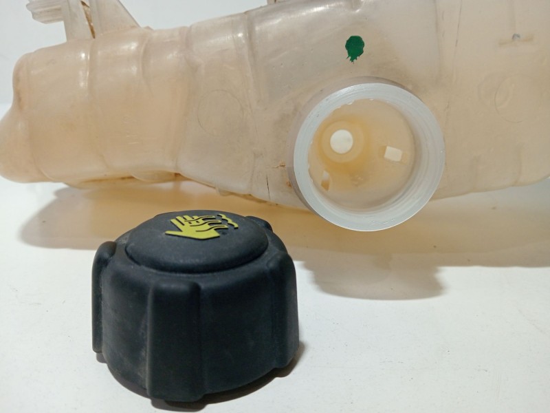 Recambio de deposito expansion para renault clio iii (br0/1, cr0/1) 1.2 16v (br02, br0j, br11, cr02, cr0j, cr11) referencia OEM 