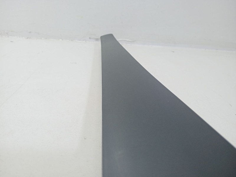 Recambio de moldura para renault laguna grandtour iii 2009 referencia OEM IAM LAGUNA GRANDTOUR III 2009 0  