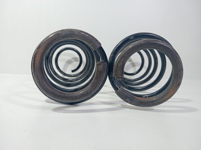 Recambio de muelle amortiguacion para renault laguna grandtour iii 2009 referencia OEM IAM LAGUNA GRANDTOUR III 2009  