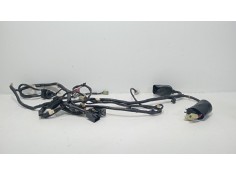 Recambio de instalacion electrica para honda ps ps 125i (jf17) referencia OEM IAM PS PS 125I (JF17) (2006 - 2011) 125CCM  