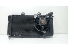 Recambio de radiador agua para yamaha nmax nmax 125 (sec7, se97) referencia OEM IAM Yamaha n Max  