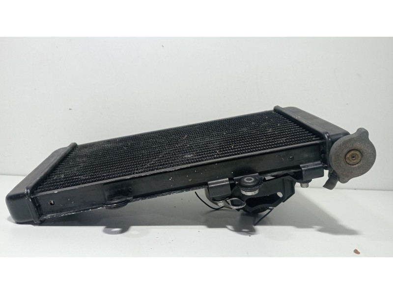 Recambio de radiador agua para yamaha nmax nmax 125 (sec7, se97) referencia OEM IAM Yamaha n Max  