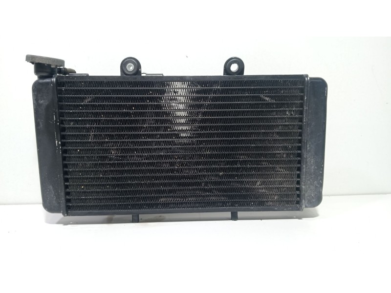 Recambio de radiador agua para yamaha nmax nmax 125 (sec7, se97) referencia OEM IAM Yamaha n Max  