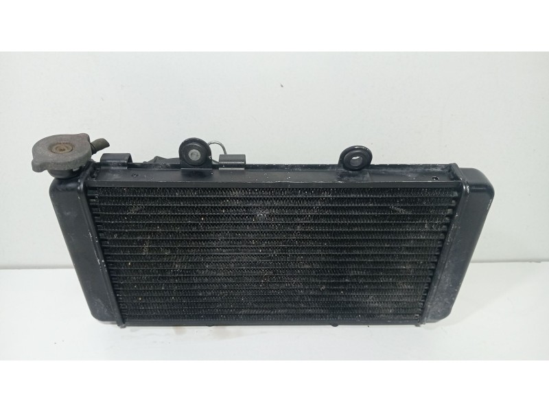Recambio de radiador agua para yamaha nmax nmax 125 (sec7, se97) referencia OEM IAM Yamaha n Max  