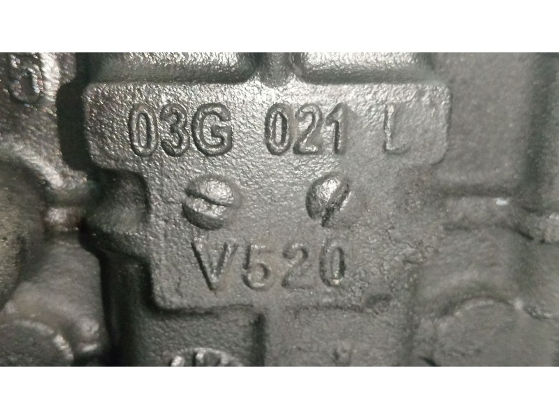 Recambio de bloque para volkswagen passat b6 (3c2) 2.0 tdi referencia OEM IAM 03G021L  