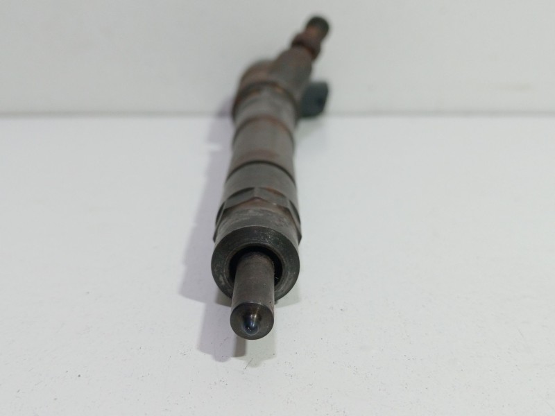 Recambio de inyector para iveco daily iv furgoneta 35c12 v, 35c12 v/p, 35s12 v, 35s12 v/p referencia OEM IAM 0445110273  