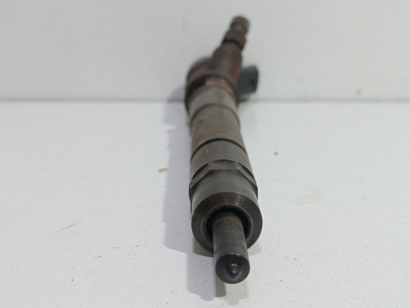 Recambio de inyector para iveco daily iv furgoneta 35c12 v, 35c12 v/p, 35s12 v, 35s12 v/p referencia OEM IAM 0445110273  