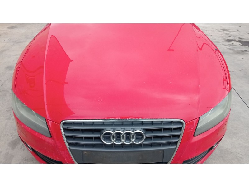 Recambio de capot delantero para audi a5 (8t3) 2.0 tdi referencia OEM IAM 8T0823029D  