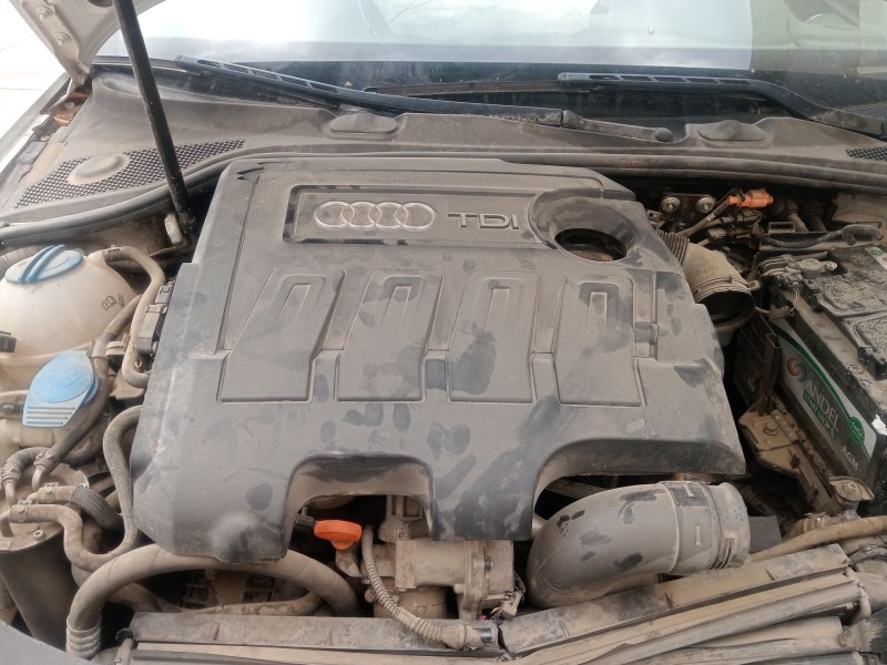Recambio de motor completo para audi a3 (8p1) 1.6 tdi referencia OEM IAM 03L100090CX  