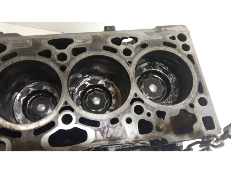Recambio de bloque para volkswagen caddy iv furgoneta/monovolumen (saa, sah) 2.0 tdi 4motion referencia OEM IAM 04L023C  